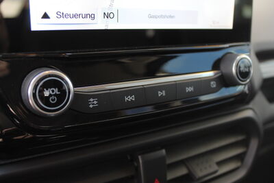 Ford EcoSport Gebrauchtwagen