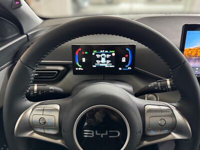 BYD Dolphin Surf Vorführwagen BYD Dolphin Surf Vorführwagen