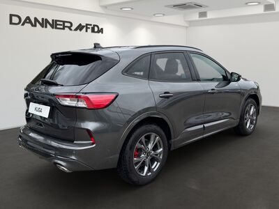 Ford Kuga Gebrauchtwagen