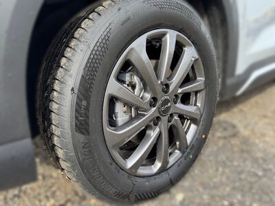 BYD Atto 2 Neuwagen
