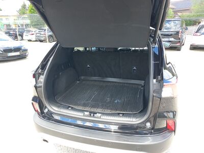 Ford Kuga Gebrauchtwagen Ford Kuga Gebrauchtwagen