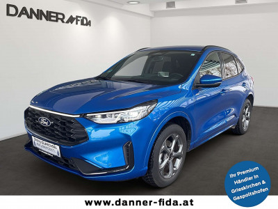 Ford Kuga Gebrauchtwagen Ford Kuga Gebrauchtwagen