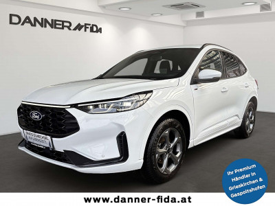Ford Kuga Gebrauchtwagen Ford Kuga Gebrauchtwagen