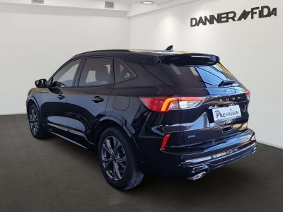 Ford Kuga Gebrauchtwagen Ford Kuga Gebrauchtwagen