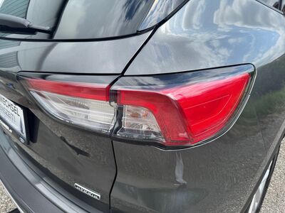 Ford Kuga Gebrauchtwagen Ford Kuga Gebrauchtwagen
