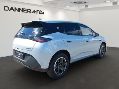 BYD Dolphin G Neuwagen BYD Dolphin G Neuwagen