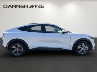 Ford Mustang Mach-E Gebrauchtwagen Ford Mustang Mach-E Gebrauchtwagen