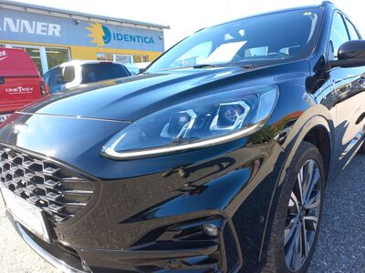 Ford Kuga Gebrauchtwagen Ford Kuga Gebrauchtwagen