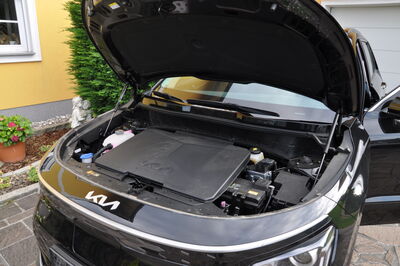 KIA Niro Vorführwagen