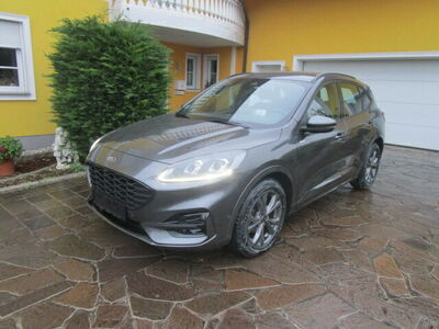 Ford Kuga Gebrauchtwagen