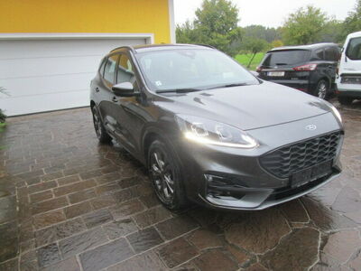 Ford Kuga Gebrauchtwagen