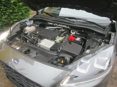 Ford Kuga Gebrauchtwagen