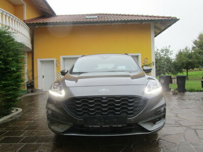 Ford Kuga Gebrauchtwagen