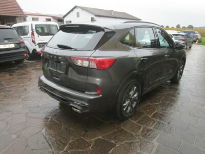 Ford Kuga Gebrauchtwagen
