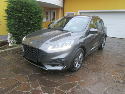 Ford Kuga Gebrauchtwagen