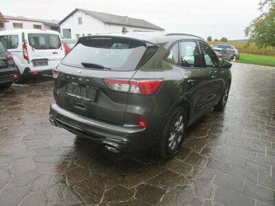 Ford Kuga Gebrauchtwagen