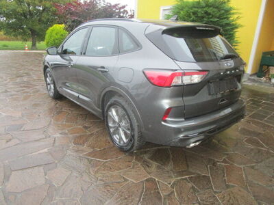 Ford Kuga Gebrauchtwagen