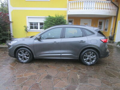 Ford Kuga Gebrauchtwagen