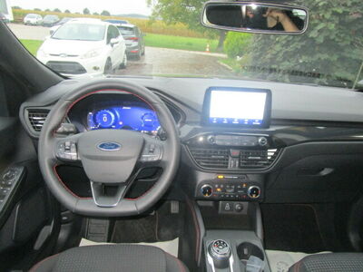 Ford Kuga Gebrauchtwagen