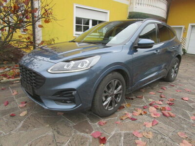 Ford Kuga Gebrauchtwagen
