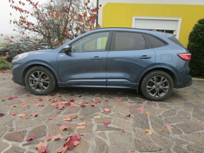 Ford Kuga Gebrauchtwagen Ford Kuga Gebrauchtwagen