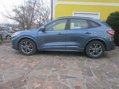 Ford Kuga Gebrauchtwagen Ford Kuga Gebrauchtwagen