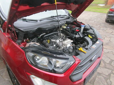 Ford EcoSport Gebrauchtwagen