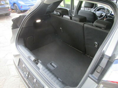 Ford Puma Gebrauchtwagen Ford Puma Gebrauchtwagen