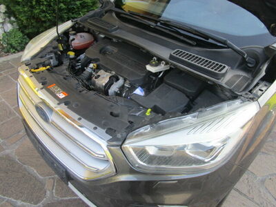 Ford Kuga Gebrauchtwagen Ford Kuga Gebrauchtwagen