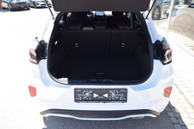 Ford Puma Gebrauchtwagen Ford Puma Gebrauchtwagen