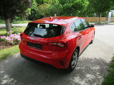 Ford Focus Gebrauchtwagen