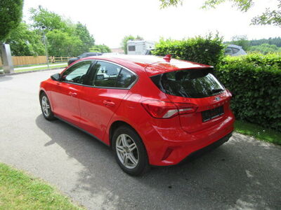 Ford Focus Gebrauchtwagen