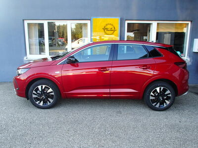 Opel Grandland X Tageszulassung