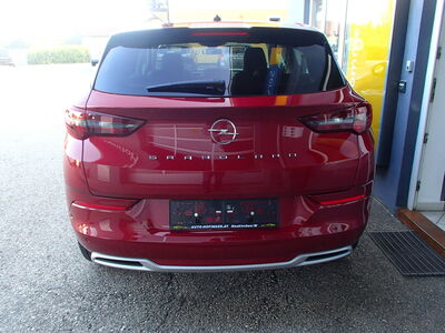 Opel Grandland X Tageszulassung