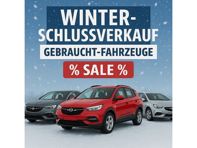 Opel Grandland X Gebrauchtwagen