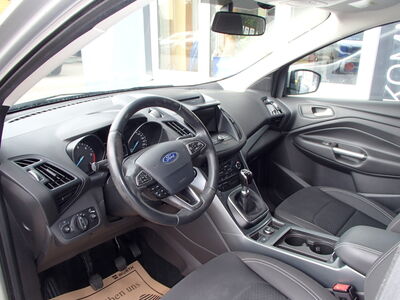Ford Kuga Gebrauchtwagen