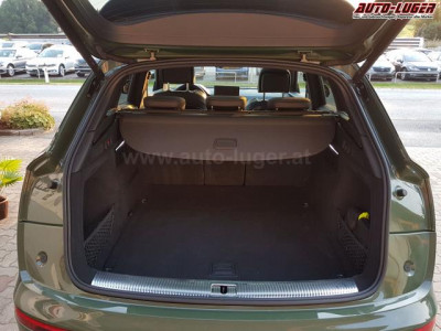 Audi Q5 Gebrauchtwagen