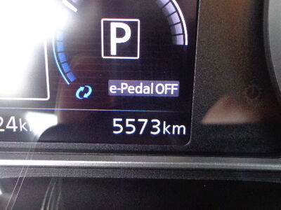 Nissan Leaf Gebrauchtwagen Nissan Leaf Gebrauchtwagen