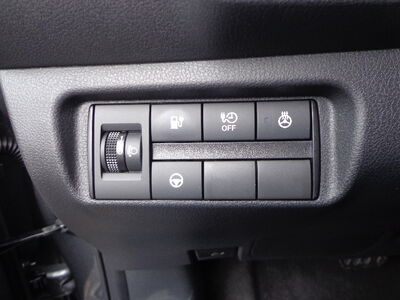 Nissan Leaf Gebrauchtwagen