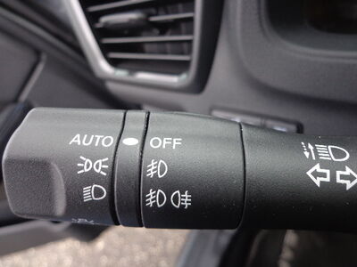 Nissan Leaf Gebrauchtwagen