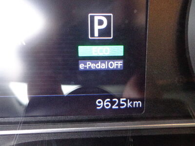 Nissan Leaf Gebrauchtwagen