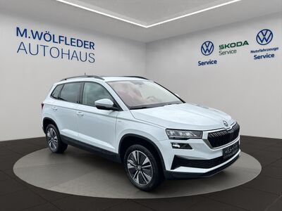 Skoda Karoq Gebrauchtwagen