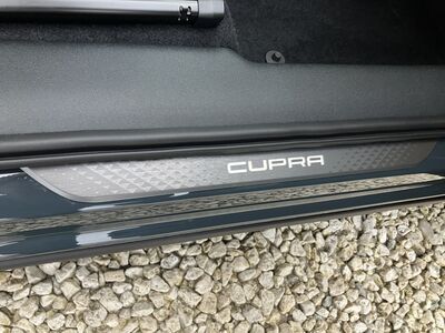 Cupra Terramar Gebrauchtwagen