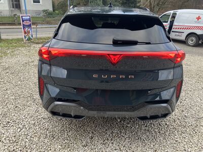 Cupra Terramar Gebrauchtwagen