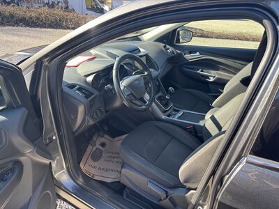 Ford Kuga Gebrauchtwagen