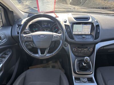 Ford Kuga Gebrauchtwagen