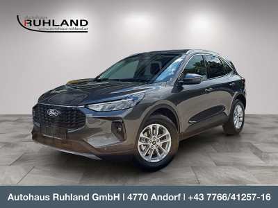 Ford Kuga Vorführwagen