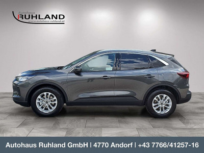 Ford Kuga Vorführwagen