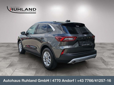 Ford Kuga Vorführwagen