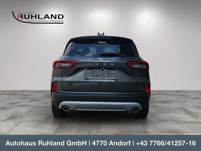 Ford Kuga Vorführwagen